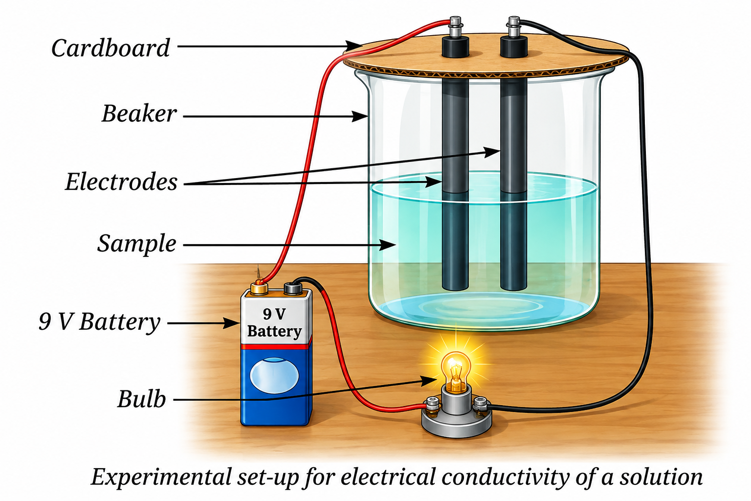 Figure 9.15: Electrical conductivity apparatus